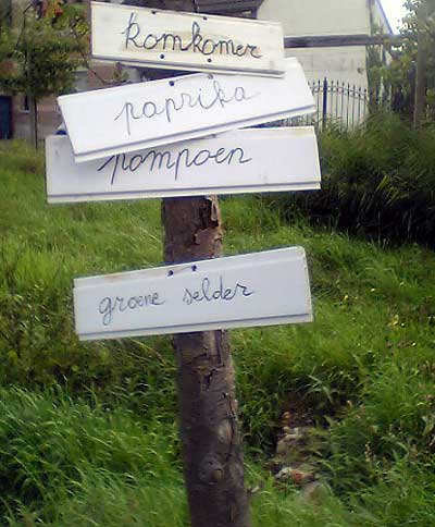 Komkomer2.jpg